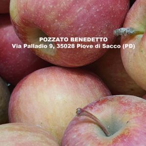 POZZATO BENEDETTO