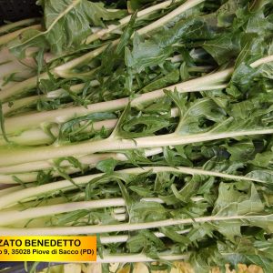 POZZATO - CATALOGNA 1Kg