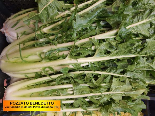 POZZATO - CATALOGNA 1Kg
