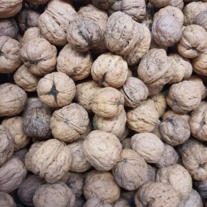 Pozzato - Noci Lara 500Gr