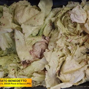 Pozzato - Radicchio variegato in confezione da 500 Gr