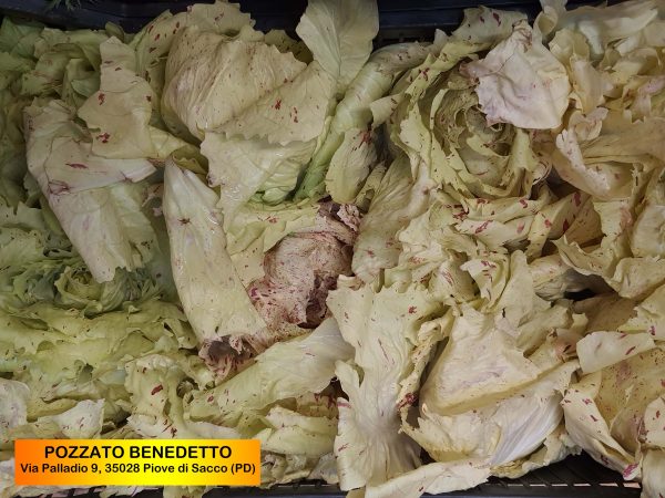 Pozzato - Radicchio variegato in confezione da 500 Gr