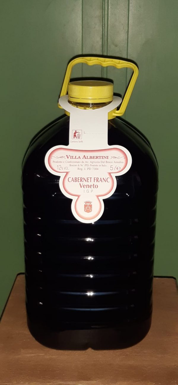 VILLAALBERTINI - VINO CABERNET FRANC 5 litri