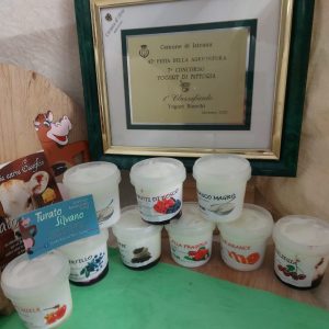 TURATO SILVANO - YOGURT 150 GR