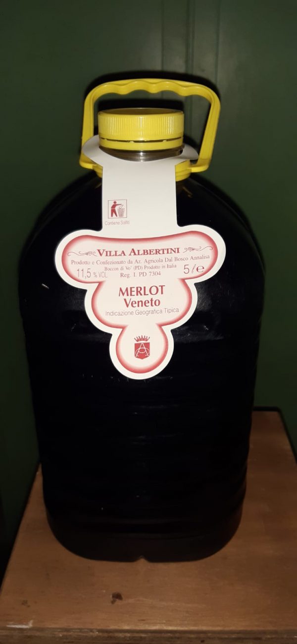 VILLAALBERTINI - VINO MERLOT  5 litri