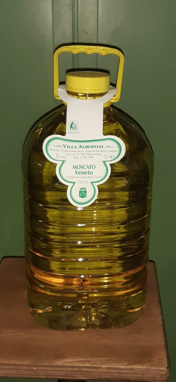 VILLAALBERTINI - VINO MOSCATO VENETO 5 litri